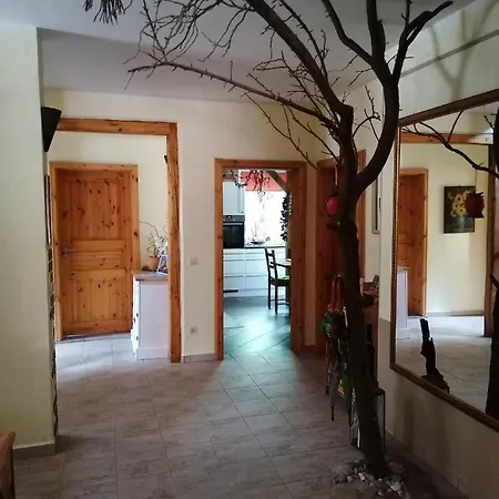 Monteurunterkunft Maria Πανσιόν Freital